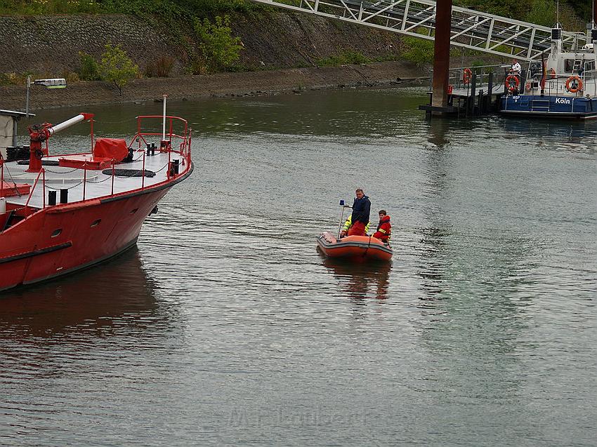P6208787.JPG